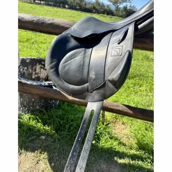 Childeric Selles De Cross><noscript><img width=