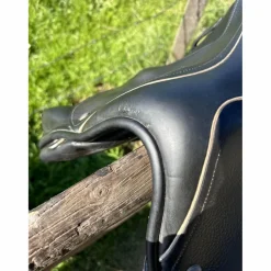 Childeric Selles De Cross><noscript><img width=