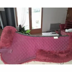 HFI Amortisseurs>Amortisseur mouton horse fitform be
