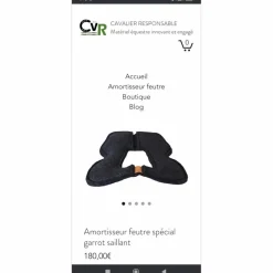 Cavalier Responsable Amortisseurs>Amortisseur