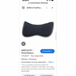 Kentucky Amortisseurs><noscript><img width=