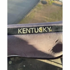 Kentucky Amortisseurs><noscript><img width=