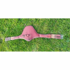 Antares Selles Mixtes><noscript><img width=