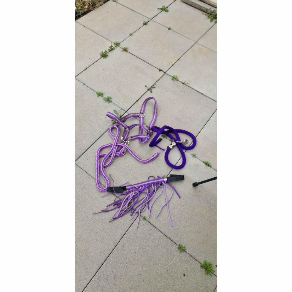 - Marque inconnue - Licols Et Longes>assortiment taille poney violet