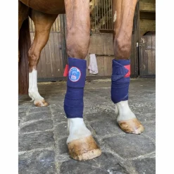 bande polo*Harcour Discount