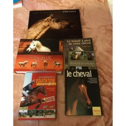 Beaux livres*- Marque inconnue - New