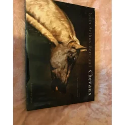 Beaux livres*- Marque inconnue - New