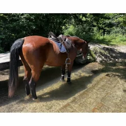 Lamicell Bonnets>bonnet cheval