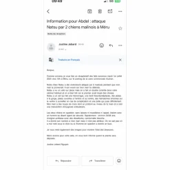 Lamicell Bonnets><noscript><img width=