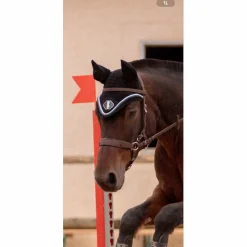 Eskadron Bonnets>Bonnet