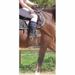 Privilege Equitation Boots><noscript><img width=