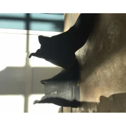 Boots>Boots d’équitation
