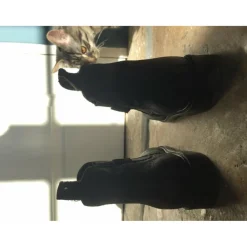 Boots>Boots d’équitation