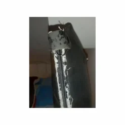 Botte équitation en cuire*- Marque inconnue - Outlet
