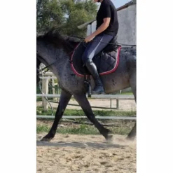 Tattini Bottes><noscript><img width=