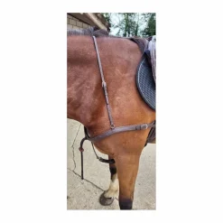 Bricolle-Martingale*Norton Online