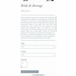 Bride Bruno*Delgrange Online