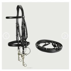 Bride de dressage*Delgrange Best