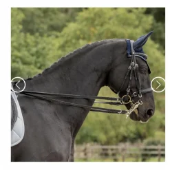 Bride de dressage*Delgrange Best