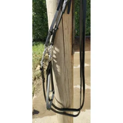 Bride harmonie dressage*Devoucoux Sale