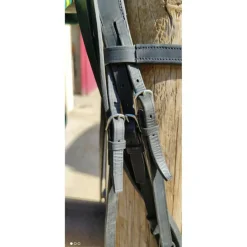 Bride harmonie dressage*Devoucoux Sale