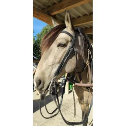 Bride harmonie dressage*Devoucoux Sale