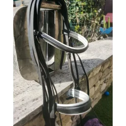 Bride*Stubben