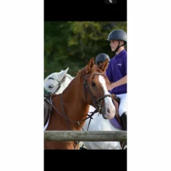 Eric Thomas Bridons - Filets>Bride taille cob