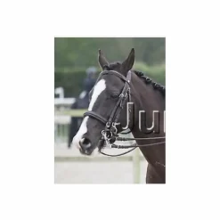 Bride taille cob*- Marque inconnue - New