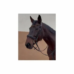 BRIDON ANATOMIQUE CLERMONT (TAILLE: CHEVAL - COULEUR: MARRON FONCÉ)*Horze Best