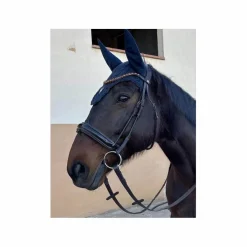 BRIDON ANATOMIQUE CLERMONT (TAILLE: CHEVAL - COULEUR: MARRON FONCÉ)*Horze Best