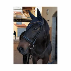 BRIDON ANATOMIQUE CLERMONT (TAILLE: CHEVAL - COULEUR: MARRON FONCÉ)*Horze Best