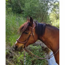 Forestier Bridons - Filets>Bridon anatomique