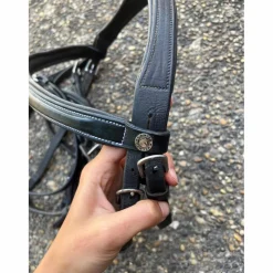 Canter Bridons - Filets><noscript><img width=