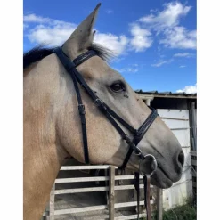 Canter Bridons - Filets>Bridon Cheval noir