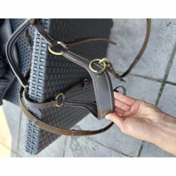 Bridon cheval sans mors*QHP Discount