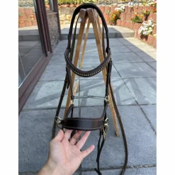 Bridon cheval sans mors*QHP Discount