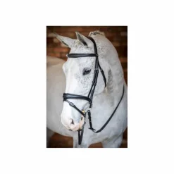 Lemieux Bridons - Filets><noscript><img width=