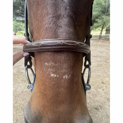 CWD Bridons - Filets><noscript><img width=
