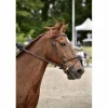 Bridon + rênes*CWD