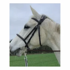 Bridon COB*CWD