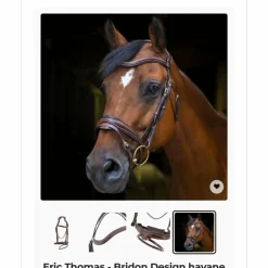 Eric Thomas Bridons - Filets><noscript><img width=
