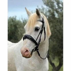 Bridon dressage anatomique noir con*Anky Sale