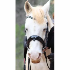 Bridon dressage anatomique noir con*Anky Sale
