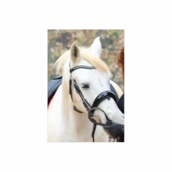 Bridon dressage anatomique noir con*Anky Sale
