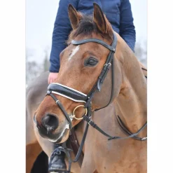 Bridon dressage D'yon*Dy'on Hot