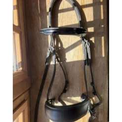 Norton Bridons - Filets>Bridon Dressage Noir taille COB