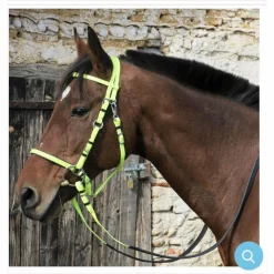 BRIDON ENDURANCE jaune fluo*- Marque inconnue - New