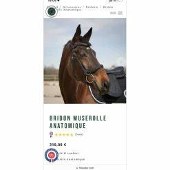 Forestier Bridons - Filets>Bridon muserolle anatomique