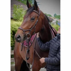 Horseware Bridons - Filets>Bridon Micklem Competition